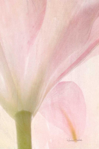 Lily on Canvas White Modern Wood Framed Art Print with Double Matting by Murdock, Ramona