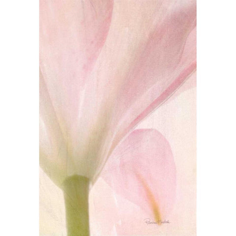 Lily on Canvas White Modern Wood Framed Art Print by Murdock, Ramona