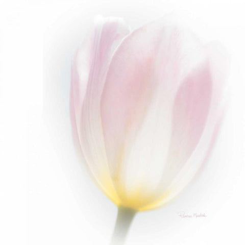 Translucent White Modern Wood Framed Art Print with Double Matting by Murdock, Ramona