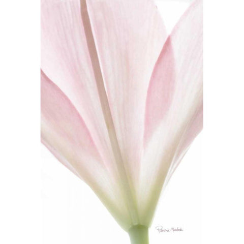 Transparent Lily I Gold Ornate Wood Framed Art Print with Double Matting by Murdock, Ramona