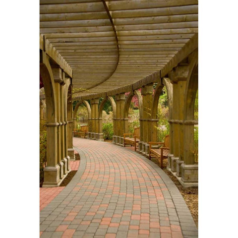 Curves Black Modern Wood Framed Art Print with Double Matting by Murdock, Ramona