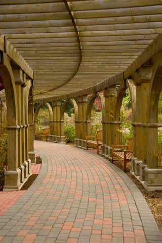 Curves Black Ornate Wood Framed Art Print with Double Matting by Murdock, Ramona