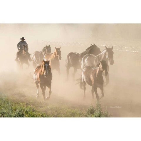 Ranch Horses White Modern Wood Framed Art Print by Murdock, Ramona