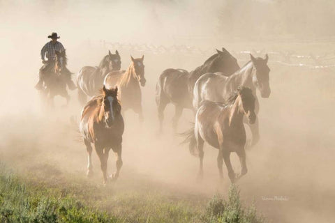 Ranch Horses White Modern Wood Framed Art Print with Double Matting by Murdock, Ramona
