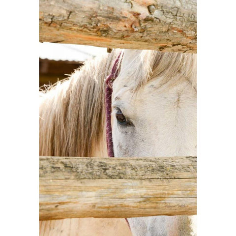 Peek White Modern Wood Framed Art Print by Murdock, Ramona