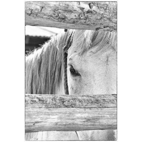 Peek B and W Black Modern Wood Framed Art Print with Double Matting by Murdock, Ramona