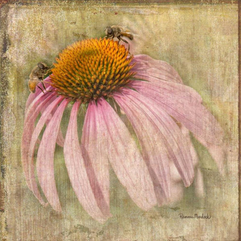 Two Bees White Modern Wood Framed Art Print with Double Matting by Murdock, Ramona