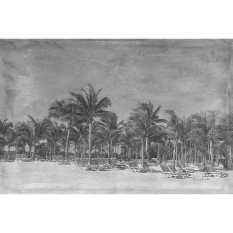 Paradise White Modern Wood Framed Art Print by Murdock, Ramona