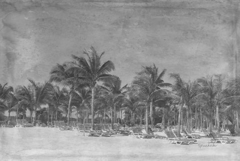 Paradise White Modern Wood Framed Art Print with Double Matting by Murdock, Ramona