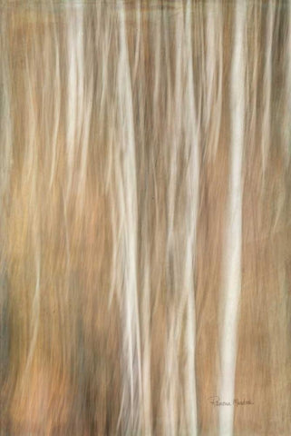 Ethereal Thicket Black Ornate Wood Framed Art Print with Double Matting by Murdock, Ramona