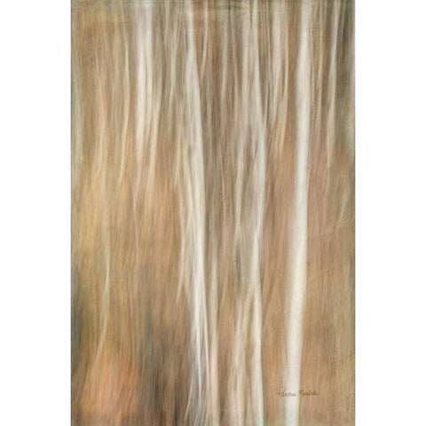 Ethereal Thicket Black Modern Wood Framed Art Print by Murdock, Ramona