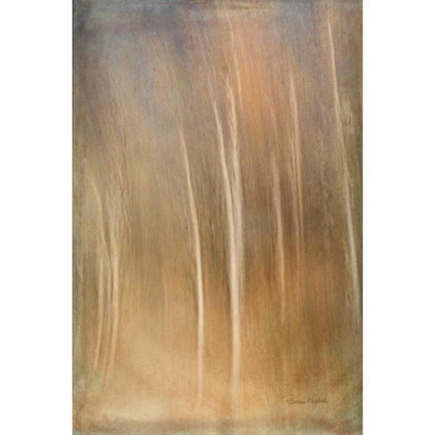 Ethereal Forest Black Modern Wood Framed Art Print by Murdock, Ramona