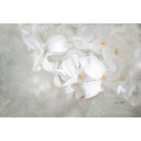 White Lilac I Black Modern Wood Framed Art Print with Double Matting by Murdock, Ramona