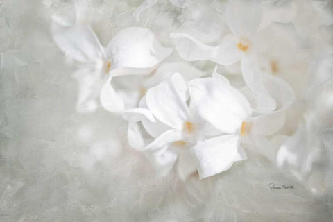 White Lilac I White Modern Wood Framed Art Print with Double Matting by Murdock, Ramona