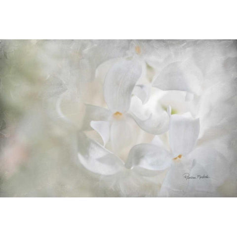 White Lilac II White Modern Wood Framed Art Print by Murdock, Ramona