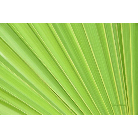 Perfect White Modern Wood Framed Art Print by Murdock, Ramona