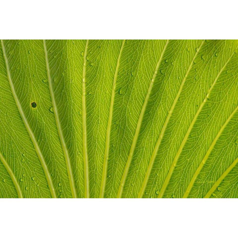 Almost Perfect Black Modern Wood Framed Art Print with Double Matting by Murdock, Ramona