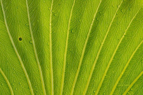 Almost Perfect White Modern Wood Framed Art Print with Double Matting by Murdock, Ramona