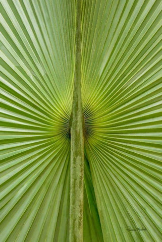 New Perspective White Modern Wood Framed Art Print with Double Matting by Murdock, Ramona