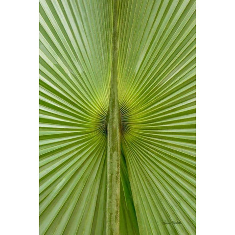 New Perspective Black Modern Wood Framed Art Print by Murdock, Ramona