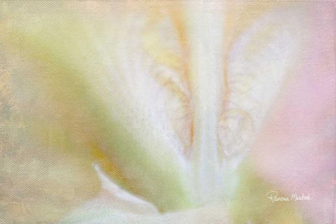 Intimate with Iris White Modern Wood Framed Art Print with Double Matting by Murdock, Ramona