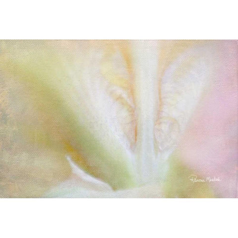 Intimate with Iris Black Modern Wood Framed Art Print with Double Matting by Murdock, Ramona