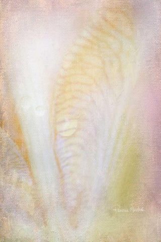 Dew Drops on Iris Black Ornate Wood Framed Art Print with Double Matting by Murdock, Ramona