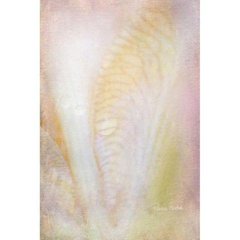 Dew Drops on Iris Black Modern Wood Framed Art Print by Murdock, Ramona