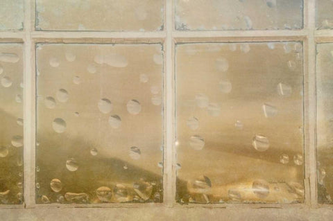 Vintage Glass Black Ornate Wood Framed Art Print with Double Matting by Murdock, Ramona