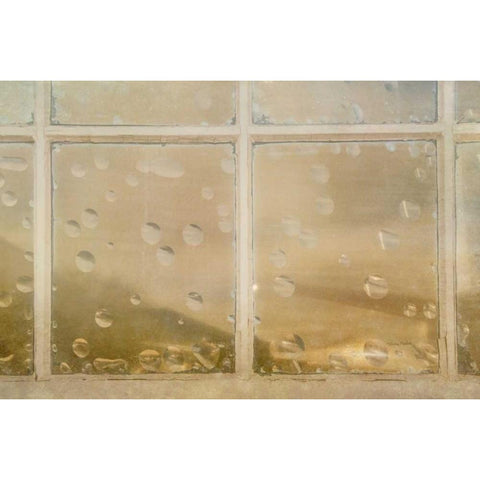 Vintage Glass White Modern Wood Framed Art Print by Murdock, Ramona