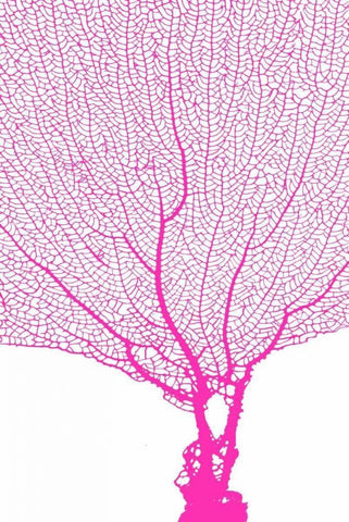 Coral Hot Pink White Modern Wood Framed Art Print with Double Matting by Murdock, Ramona