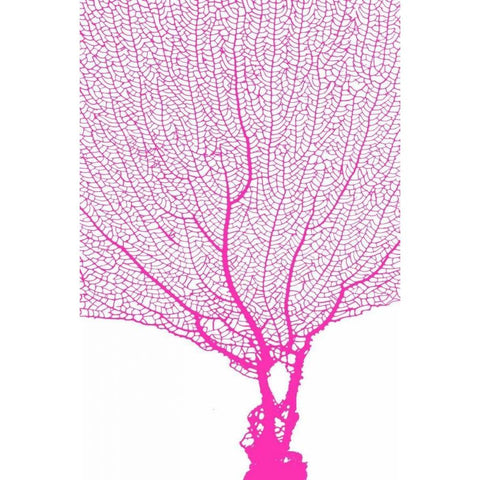 Coral Hot Pink White Modern Wood Framed Art Print by Murdock, Ramona