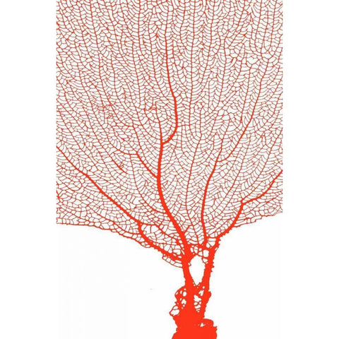 Coral Tangerine Gold Ornate Wood Framed Art Print with Double Matting by Murdock, Ramona