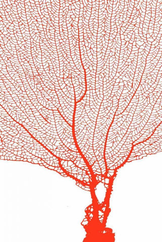 Coral Tangerine White Modern Wood Framed Art Print with Double Matting by Murdock, Ramona