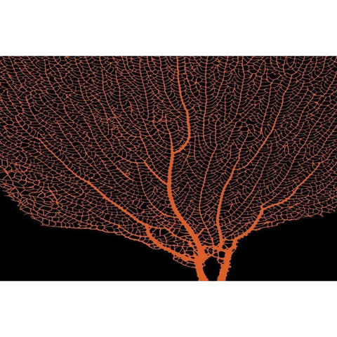 Fan Coral Tangerine Gold Ornate Wood Framed Art Print with Double Matting by Murdock, Ramona