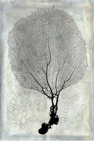 Soft Coral Black Ornate Wood Framed Art Print with Double Matting by Murdock, Ramona