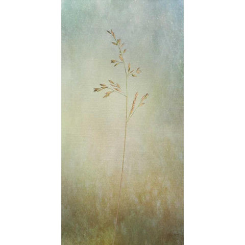 Marsh Grass II Black Modern Wood Framed Art Print by Murdock, Ramona