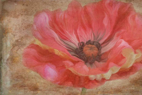 Painted Poppie Black Ornate Wood Framed Art Print with Double Matting by Murdock, Ramona