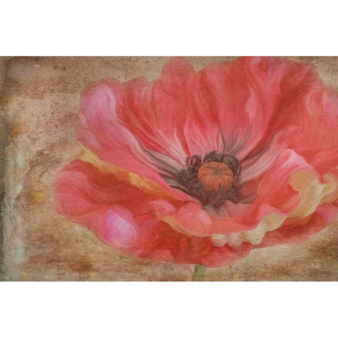 Painted Poppie Black Modern Wood Framed Art Print by Murdock, Ramona