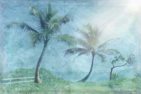 Paradise Found Black Ornate Wood Framed Art Print with Double Matting by Murdock, Ramona