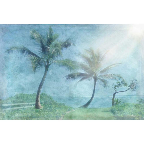 Paradise Found White Modern Wood Framed Art Print by Murdock, Ramona