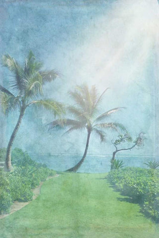 Paradise Found II White Modern Wood Framed Art Print with Double Matting by Murdock, Ramona