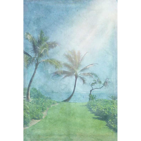Paradise Found II White Modern Wood Framed Art Print by Murdock, Ramona
