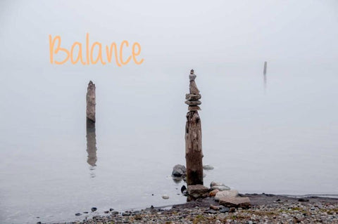 Balance Black Ornate Wood Framed Art Print with Double Matting by Murdock, Ramona