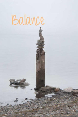 Balance III Black Ornate Wood Framed Art Print with Double Matting by Murdock, Ramona