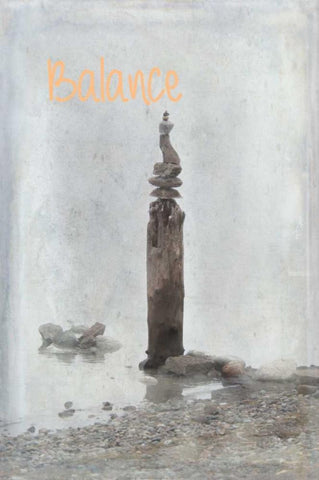 Balance IV Black Ornate Wood Framed Art Print with Double Matting by Murdock, Ramona