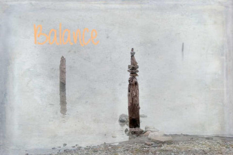 Balance II Black Ornate Wood Framed Art Print with Double Matting by Murdock, Ramona