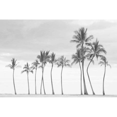Paradise in Black and White Black Modern Wood Framed Art Print by Murdock, Ramona