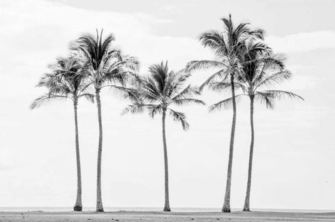 Paradise in Black and White II Black Ornate Wood Framed Art Print with Double Matting by Murdock, Ramona