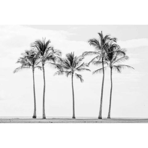 Paradise in Black and White II Black Modern Wood Framed Art Print by Murdock, Ramona